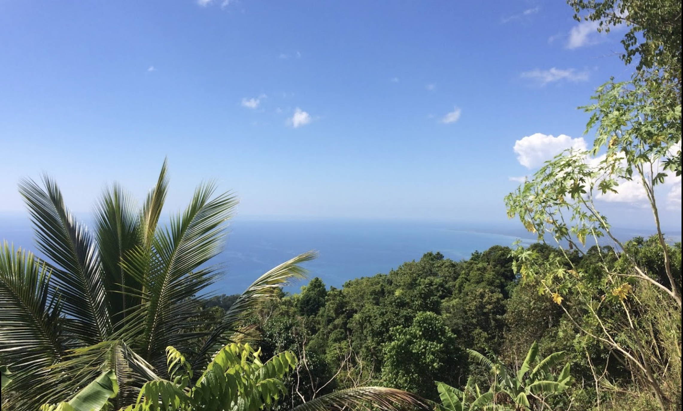 Forest and sea - the essence of the Westmoreland hills in Jamaica