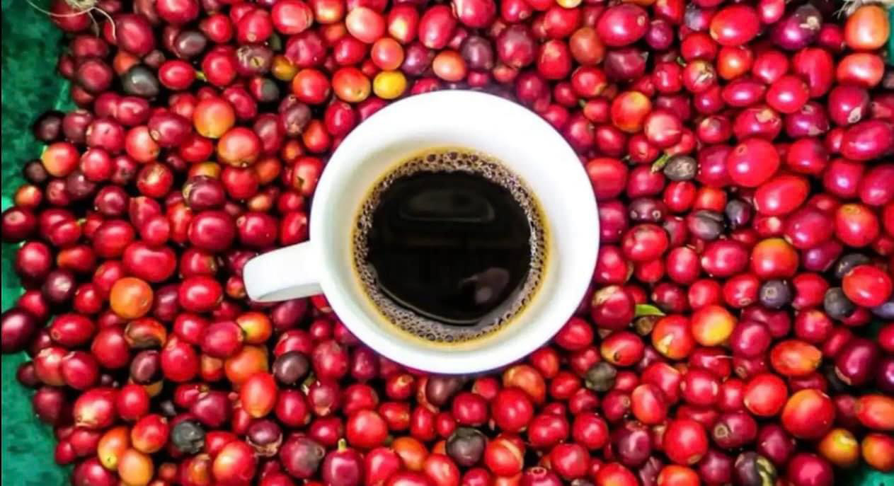 We harvest, grind and roast our own coffee, which is delicious