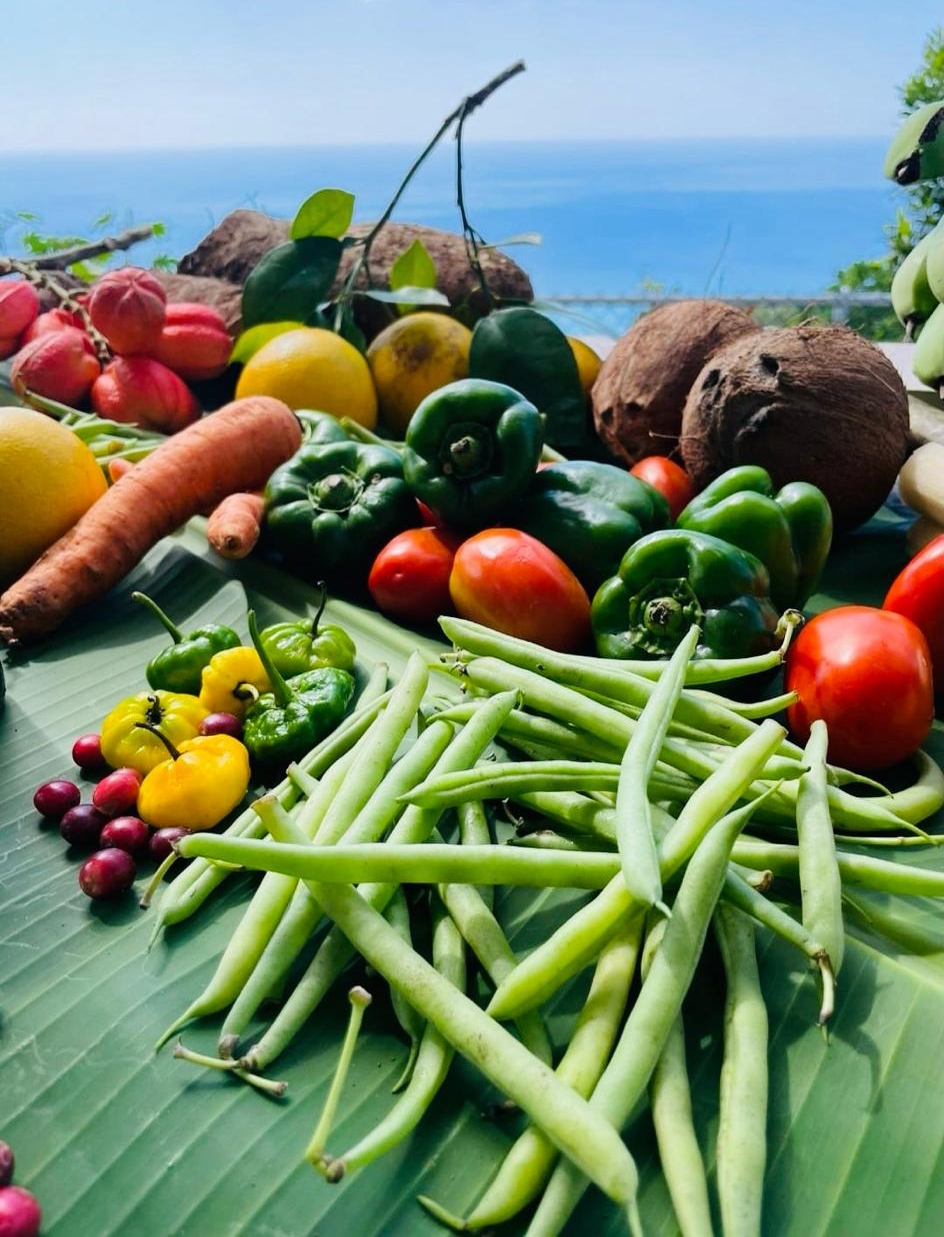 Nature's bounty at Mel's Botanical Retreat