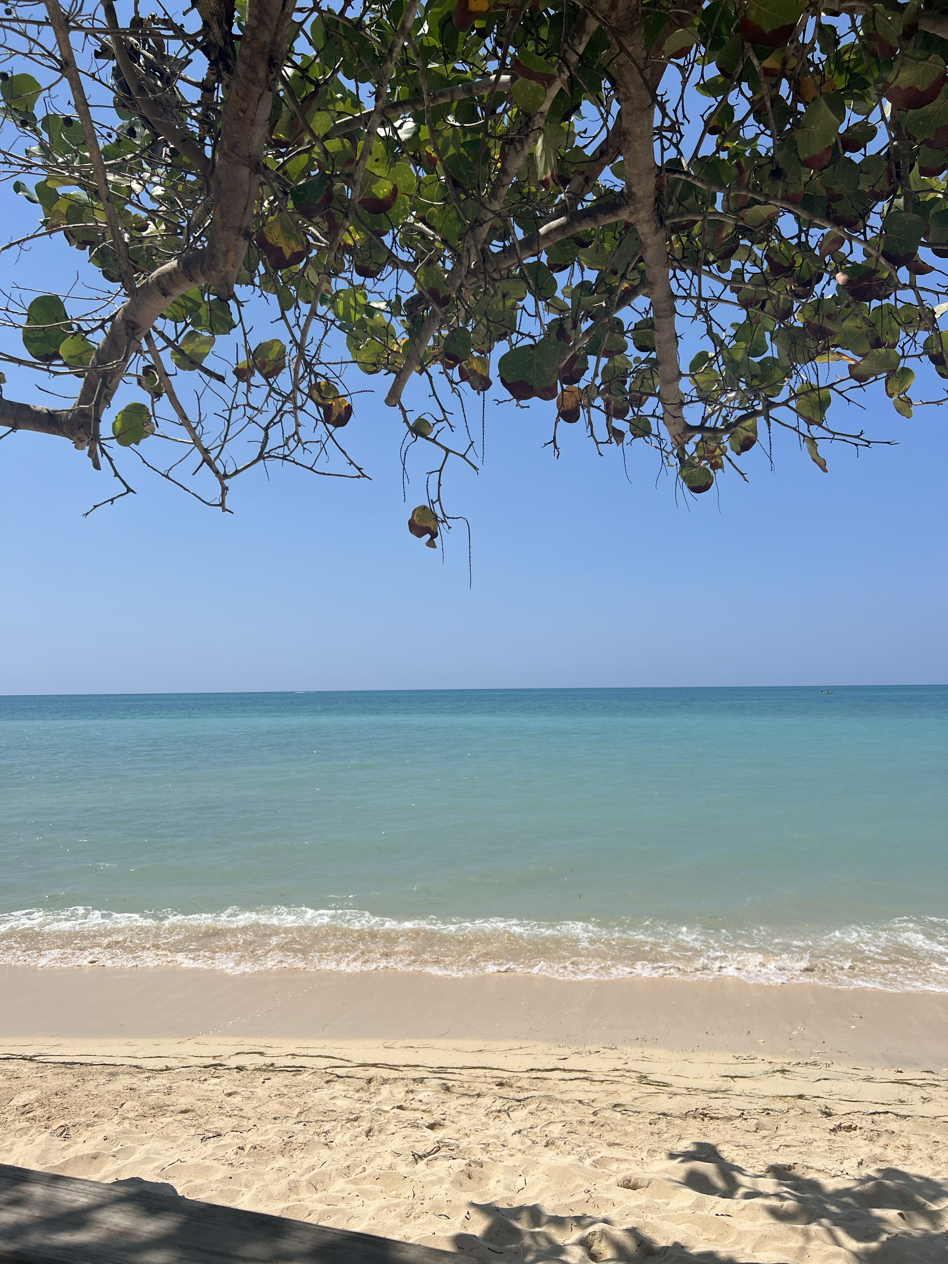 A short drive, or an invigorating walk down the hill takes you to this picture perfect beach