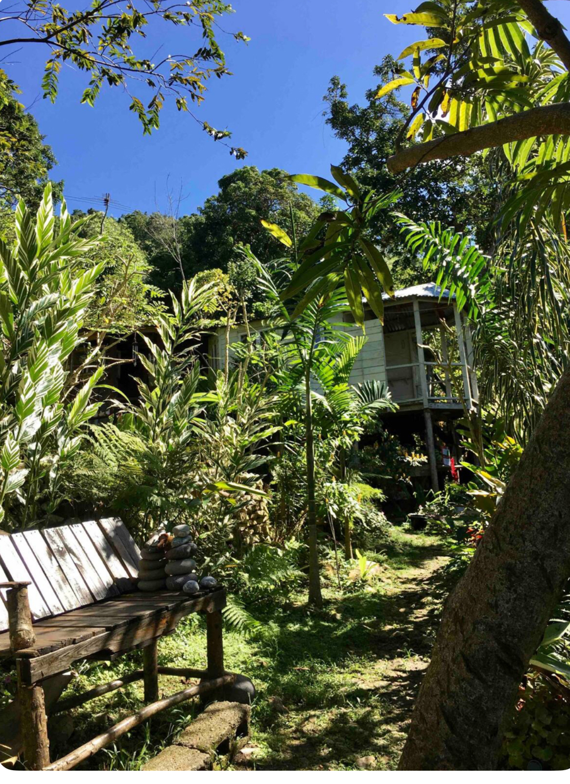 A profusion of nature awaits you at Mel's Botanical Retreat