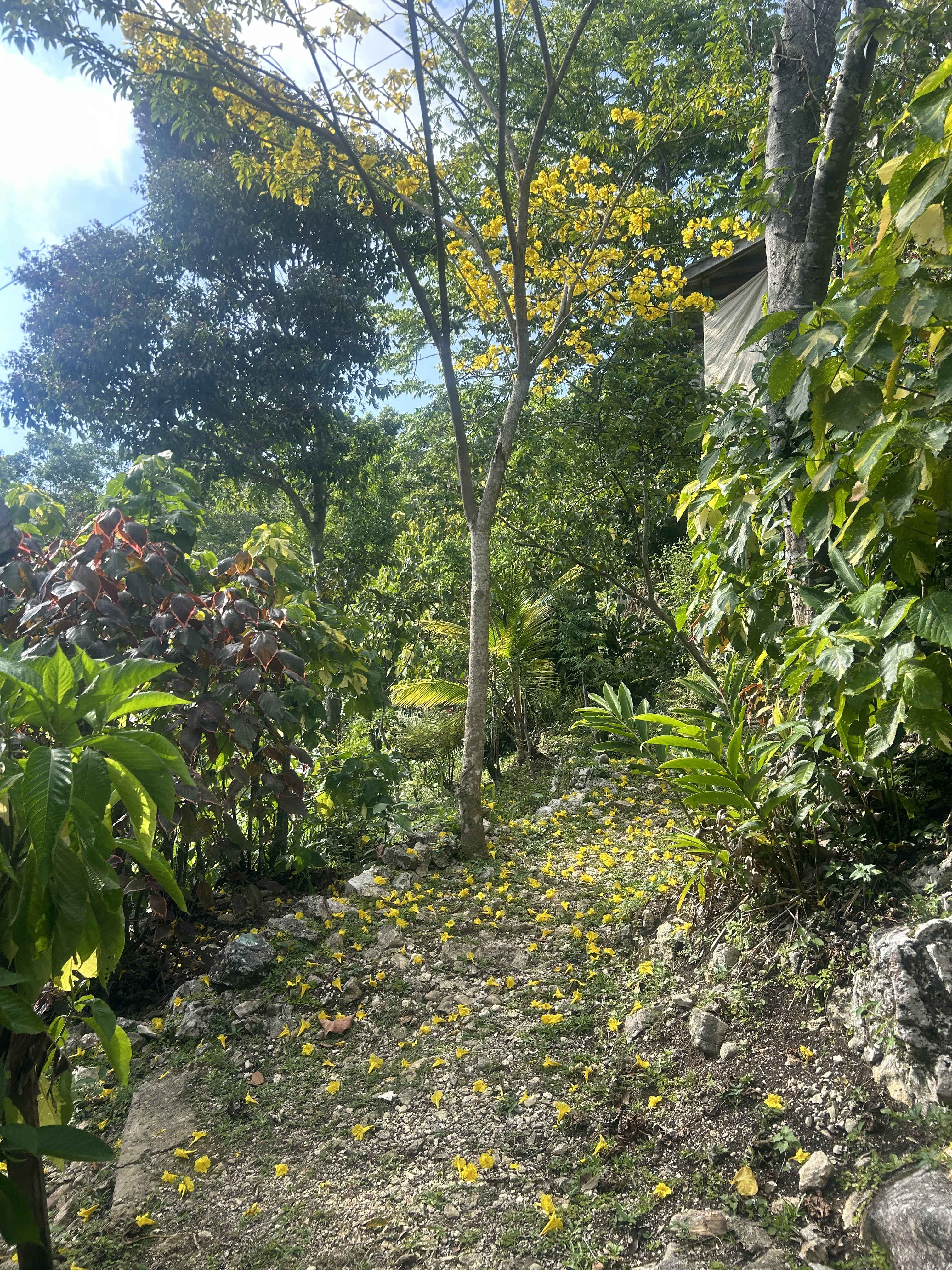 Walking along the path in the retreat