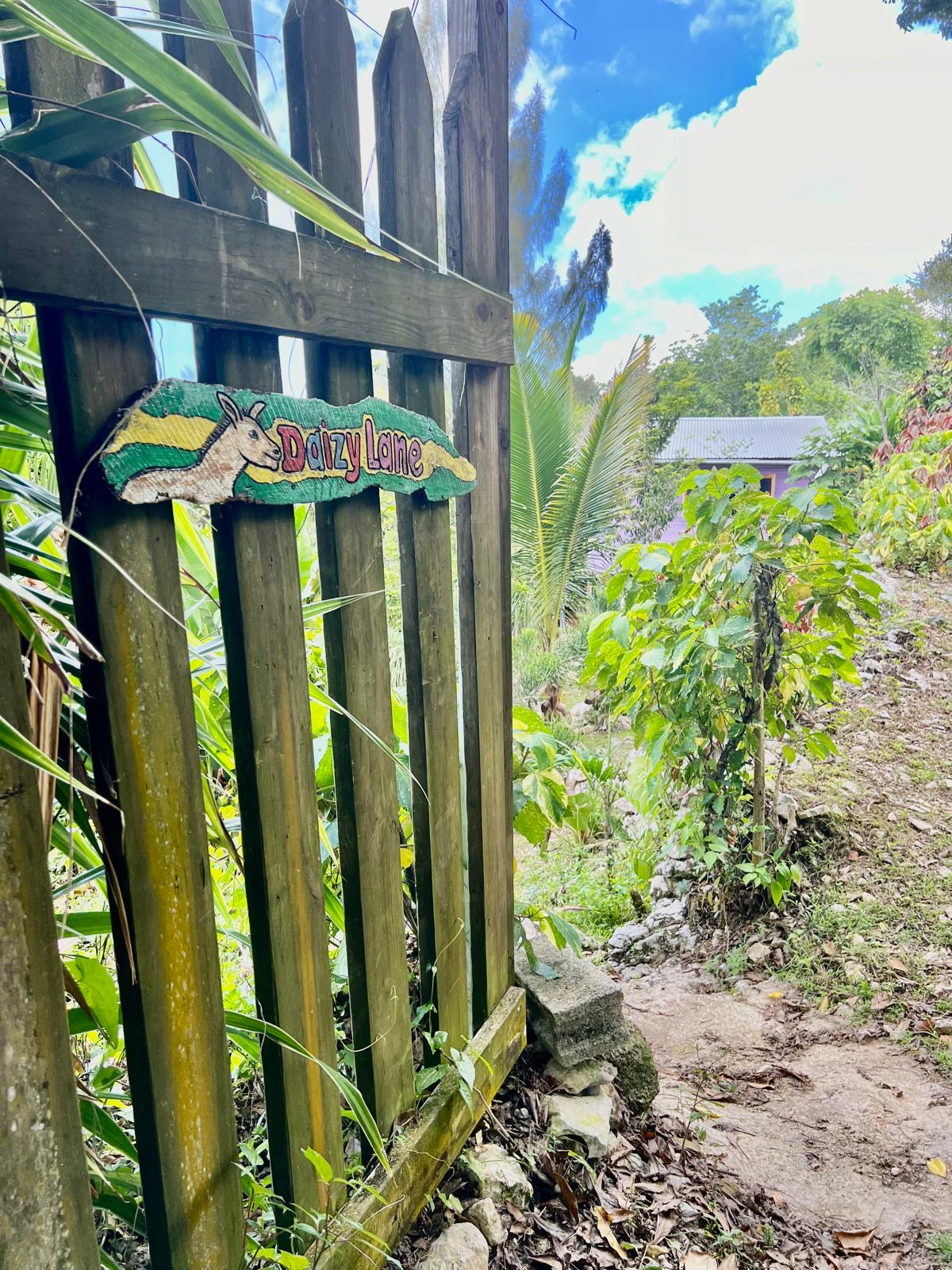 The gate to Mel's Botanical Retreat, where a warm welcome awaits you