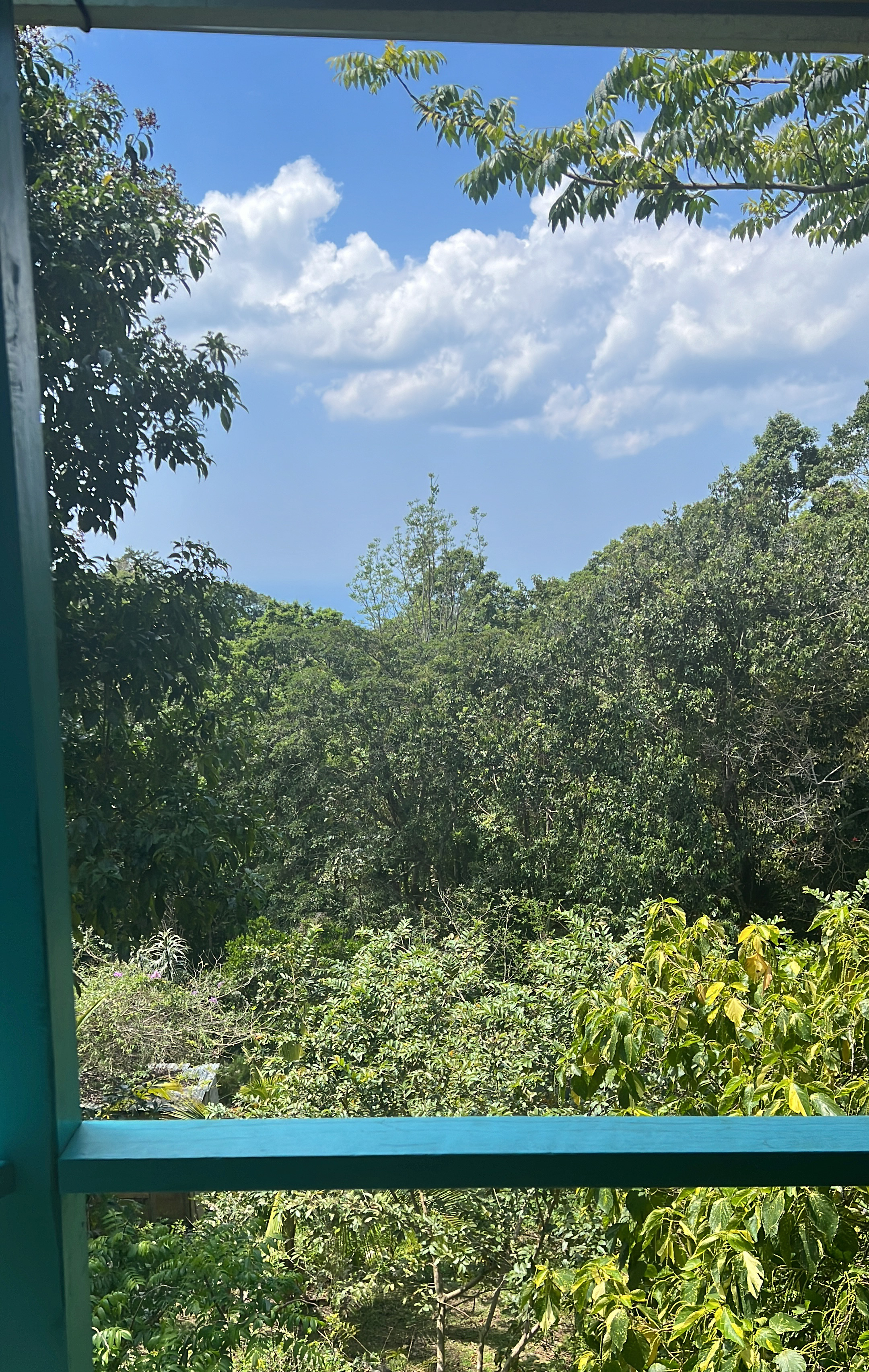 A view from one of the cabin's balconies