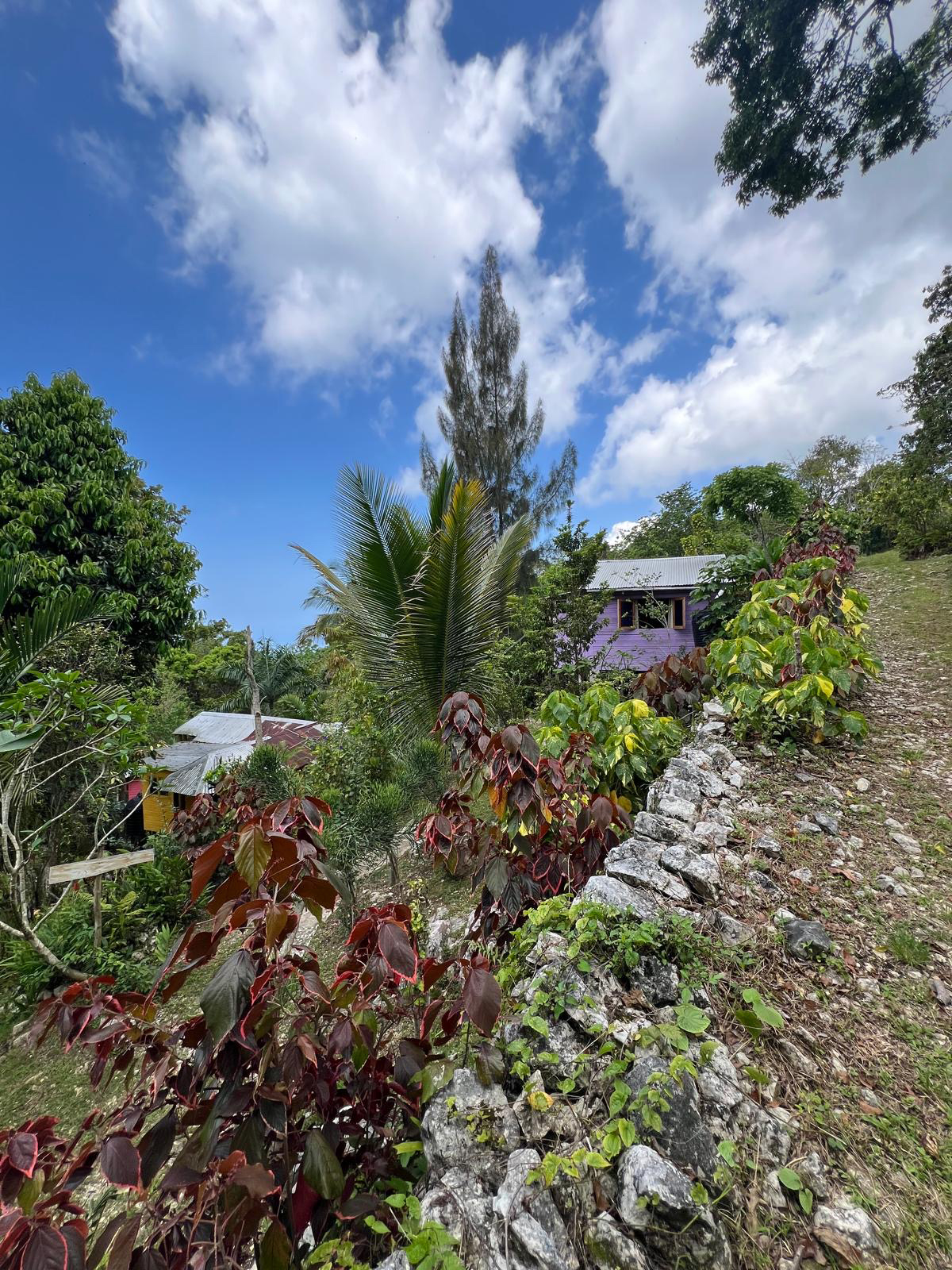 Glimpses of the cabins as you enter the retreat