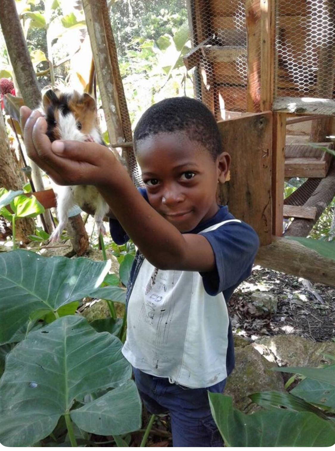 Little cousin Tremaine, aged six, holding our pet hamster