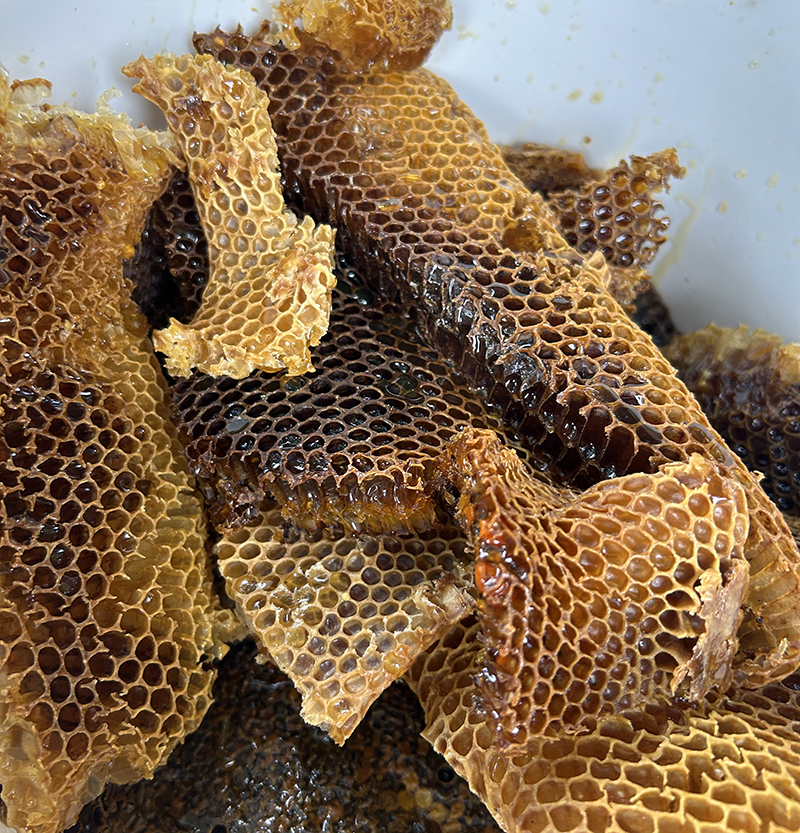 Honey from our land