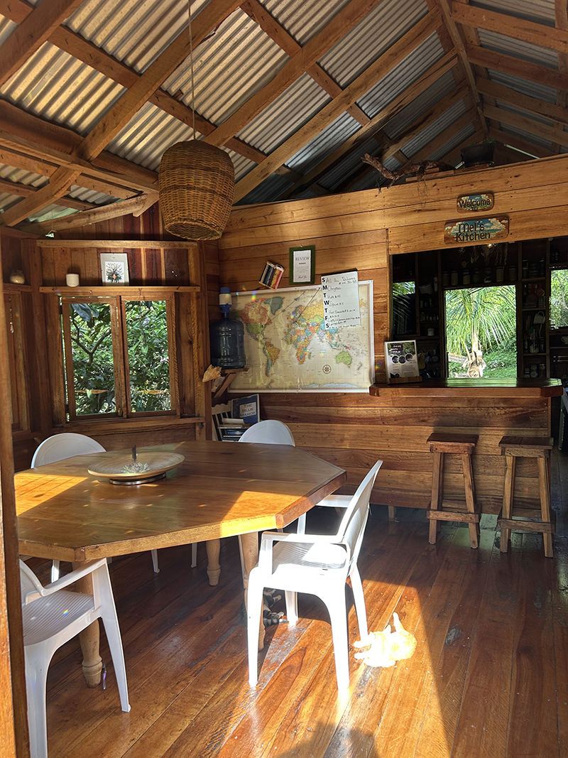 Inside the kitchen and bar 